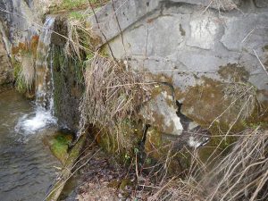 Risse in einer Wildbachverbauung